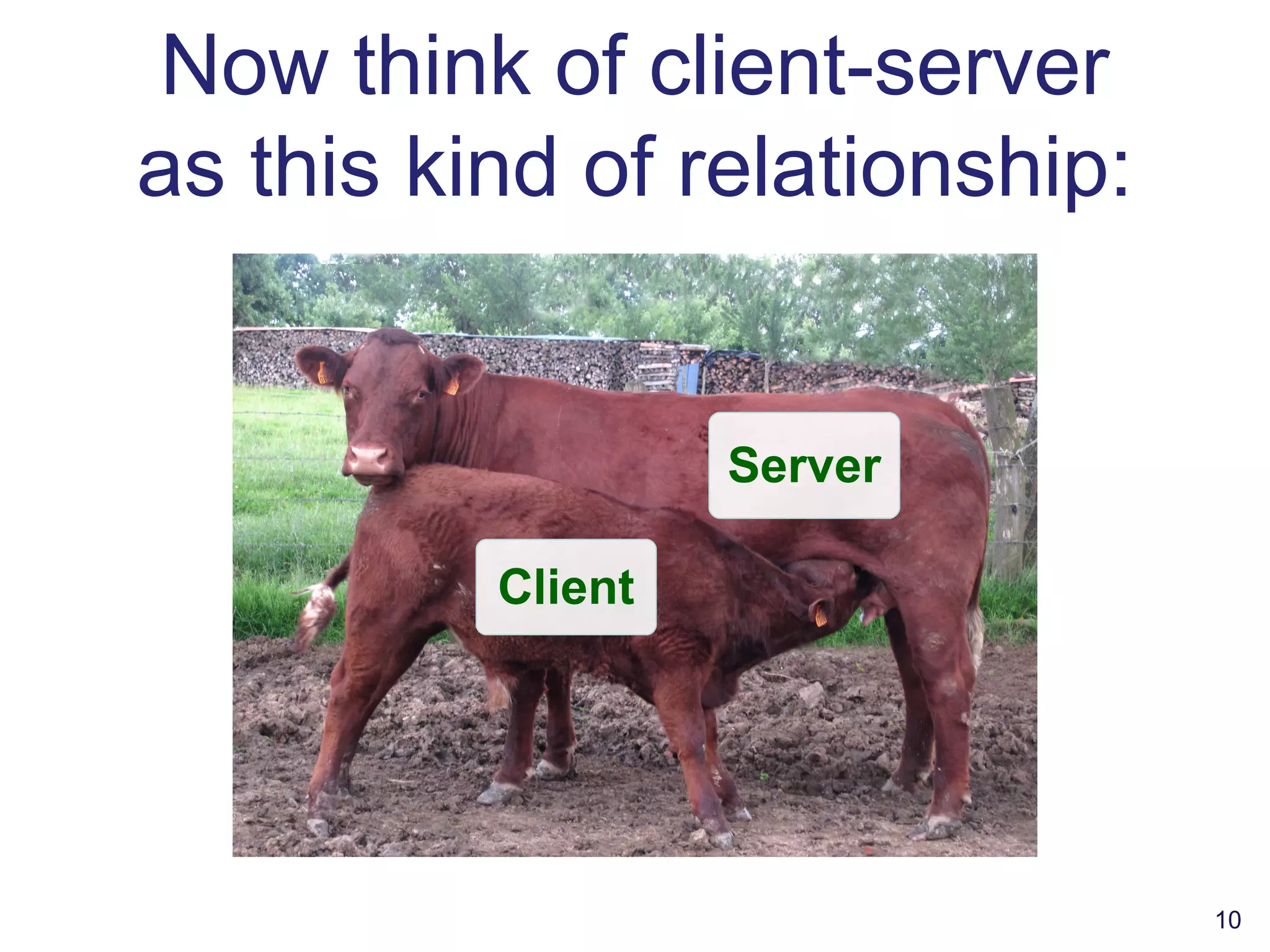 Now think of client-server
as this kind of relationship:
10
Client
Server
 