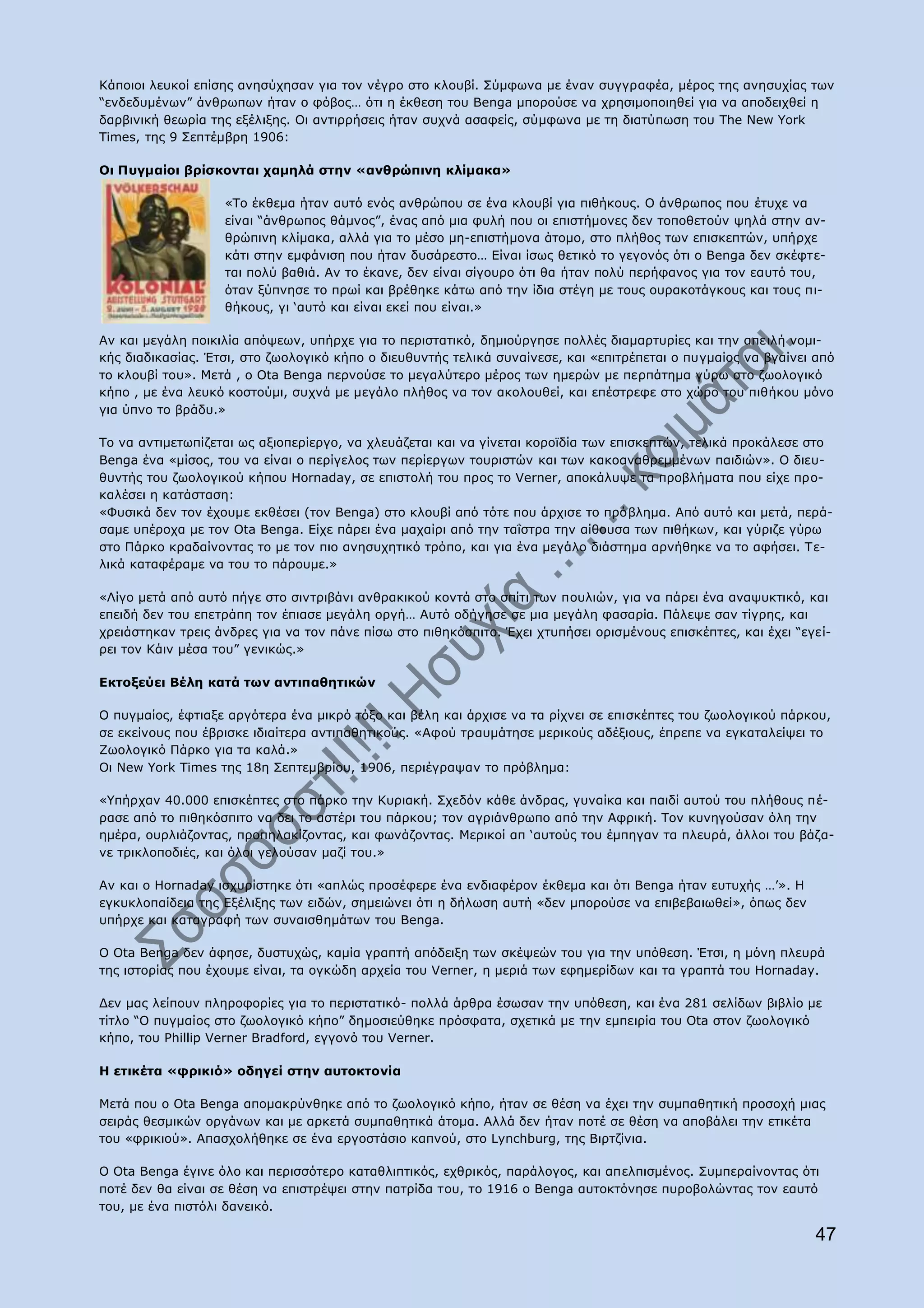 Θάπνηνη ιεπθνί επίζεο αλεζχρεζαλ γηα ηνλ λέγξν ζην θινπβί. Πχκθσλα κε έλαλ ζπγγξαθέα, κέξνο ηεο αλεζπρίαο ησλ
“ελδεδπκέλσλ” άλζξσπσλ ήηαλ ν θφβνο… φηη ε έθζεζε ηνπ Benga κπνξνχζε λα ρξεζηκνπνηεζεί γηα λα απνδεηρζεί ε
δαξβηληθή ζεσξία ηεο εμέιημεο. Νη αληηξξήζεηο ήηαλ ζπρλά αζαθείο, ζχκθσλα κε ηε δηαηχπσζε ηνπ The New York
Times, ηεο 9 Πεπηέκβξε 1906:

Νη Ξπγκαίνη βξίζθνληαη ρακειά ζηελ «αλζξψπηλε θιίκαθα»

                   «Ρν έθζεκα ήηαλ απηφ ελφο αλζξψπνπ ζε έλα θινπβί γηα πηζήθνπο. Ν άλζξσπνο πνπ έηπρε λα
                   είλαη “άλζξσπνο ζάκλνο”, έλαο απφ κηα θπιή πνπ νη επηζηήκνλεο δελ ηνπνζεηνχλ ςειά ζηελ αλ-
                   ζξψπηλε θιίκαθα, αιιά γηα ην κέζν κε-επηζηήκνλα άηνκν, ζην πιήζνο ησλ επηζθεπηψλ, ππήξρε
                   θάηη ζηελ εκθάληζε πνπ ήηαλ δπζάξεζην… Δίλαη ίζσο ζεηηθφ ην γεγνλφο φηη ν Benga δελ ζθέθηε-
                   ηαη πνιχ βαζηά. Αλ ην έθαλε, δελ είλαη ζίγνπξν φηη ζα ήηαλ πνιχ πεξήθαλνο γηα ηνλ εαπηφ ηνπ,
                   φηαλ μχπλεζε ην πξσί θαη βξέζεθε θάησ απφ ηελ ίδηα ζηέγε κε ηνπο νπξαθνηάγθνπο θαη ηνπο πη-
                   ζήθνπο, γη „απηφ θαη είλαη εθεί πνπ είλαη.»

Αλ θαη κεγάιε πνηθηιία απφςεσλ, ππήξρε γηα ην πεξηζηαηηθφ, δεκηνχξγεζε πνιιέο δηακαξηπξίεο θαη ηελ απεηιή λνκη-
θήο δηαδηθαζίαο. Έηζη, ζην δσνινγηθφ θήπν ν δηεπζπληήο ηειηθά ζπλαίλεζε, θαη «επηηξέπεηαη ν ππγκαίνο λα βγαίλεη απφ
ην θινπβί ηνπ». Κεηά , ν Ota Benga πεξλνχζε ην κεγαιχηεξν κέξνο ησλ εκεξψλ κε πεξπάηεκα γχξσ ζην δσνινγηθφ
θήπν , κε έλα ιεπθφ θνζηνχκη, ζπρλά κε κεγάιν πιήζνο λα ηνλ αθνινπζεί, θαη επέζηξεθε ζην ρψξν ηνπ πηζήθνπ κφλν
γηα χπλν ην βξάδπ.»

Ρν λα αληηκεησπίδεηαη σο αμηνπεξίεξγν, λα ριεπάδεηαη θαη λα γίλεηαη θνξντδία ησλ επηζθεπηψλ, ηειηθά πξνθάιεζε ζην
Benga έλα «κίζνο, ηνπ λα είλαη ν πεξίγεινο ησλ πεξίεξγσλ ηνπξηζηψλ θαη ησλ θαθναλαζξεκκέλσλ παηδηψλ». Ν δηεπ-
ζπληήο ηνπ δσνινγηθνχ θήπνπ Hornaday, ζε επηζηνιή ηνπ πξνο ην Verner, απνθάιπςε ηα πξνβιήκαηα πνπ είρε πξν-
θαιέζεη ε θαηάζηαζε:
«Φπζηθά δελ ηνλ έρνπκε εθζέζεη (ηνλ Benga) ζην θινπβί απφ ηφηε πνπ άξρηζε ην πξφβιεκα. Απφ απηφ θαη κεηά, πεξά-
ζακε ππέξνρα κε ηνλ Ota Benga. Δίρε πάξεη έλα καραίξη απφ ηελ ηαΐζηξα ηελ αίζνπζα ησλ πηζήθσλ, θαη γχξηδε γχξσ
ζην Ξάξθν θξαδαίλνληαο ην κε ηνλ πην αλεζπρεηηθφ ηξφπν, θαη γηα έλα κεγάιν δηάζηεκα αξλήζεθε λα ην αθήζεη. Ρε-
ιηθά θαηαθέξακε λα ηνπ ην πάξνπκε.»

«Ιίγν κεηά απφ απηφ πήγε ζην ζηληξηβάλη αλζξαθηθνχ θνληά ζην ζπίηη ησλ πνπιηψλ, γηα λα πάξεη έλα αλαςπθηηθφ, θαη
επεηδή δελ ηνπ επεηξάπε ηνλ έπηαζε κεγάιε νξγή… Απηφ νδήγεζε ζε κηα κεγάιε θαζαξία. Ξάιεςε ζαλ ηίγξεο, θαη
ρξεηάζηεθαλ ηξεηο άλδξεο γηα λα ηνλ πάλε πίζσ ζην πηζεθφζπηην. Έρεη ρηππήζεη νξηζκέλνπο επηζθέπηεο, θαη έρεη “εγεί-
ξεη ηνλ Θάηλ κέζα ηνπ” γεληθψο.»

Δθηνμεχεη Βέιε θαηά ησλ αληηπαζεηηθψλ

Ν ππγκαίνο, έθηηαμε αξγφηεξα έλα κηθξφ ηφμν θαη βέιε θαη άξρηζε λα ηα ξίρλεη ζε επηζθέπηεο ηνπ δσνινγηθνχ πάξθνπ,
ζε εθείλνπο πνπ έβξηζθε ηδηαίηεξα αληηπαζεηηθνχο. «Αθνχ ηξαπκάηεζε κεξηθνχο αδέμηνπο, έπξεπε λα εγθαηαιείςεη ην
Εσνινγηθφ Ξάξθν γηα ηα θαιά.»
Νη New York Times ηεο 18ε Πεπηεκβξίνπ, 1906, πεξηέγξαςαλ ην πξφβιεκα:

«΢πήξραλ 40.000 επηζθέπηεο ζην πάξθν ηελ Θπξηαθή. Πρεδφλ θάζε άλδξαο, γπλαίθα θαη παηδί απηνχ ηνπ πιήζνπο πέ-
ξαζε απφ ην πηζεθφζπηην λα δεη ην αζηέξη ηνπ πάξθνπ; ηνλ αγξηάλζξσπν απφ ηελ Αθξηθή. Ρνλ θπλεγνχζαλ φιε ηελ
εκέξα, νπξιηάδνληαο, πξνπειαθίδνληαο, θαη θσλάδνληαο. Κεξηθνί απ „απηνχο ηνπ έκπεγαλ ηα πιεπξά, άιινη ηνπ βάδα-
λε ηξηθινπνδηέο, θαη φινη γεινχζαλ καδί ηνπ.»

Αλ θαη ν Hornaday ηζρπξίζηεθε φηη «απιψο πξνζέθεξε έλα ελδηαθέξνλ έθζεκα θαη φηη Benga ήηαλ επηπρήο …‟». Ζ
εγθπθινπαίδεηα ηεο Δμέιημεο ησλ εηδψλ, ζεκεηψλεη φηη ε δήισζε απηή «δελ κπνξνχζε λα επηβεβαησζεί», φπσο δελ
ππήξρε θαη θαηαγξαθή ησλ ζπλαηζζεκάησλ ηνπ Benga.

Ν Ota Benga δελ άθεζε, δπζηπρψο, θακία γξαπηή απφδεημε ησλ ζθέςεψλ ηνπ γηα ηελ ππφζεζε. Έηζη, ε κφλε πιεπξά
ηεο ηζηνξίαο πνπ έρνπκε είλαη, ηα νγθψδε αξρεία ηνπ Verner, ε κεξηά ησλ εθεκεξίδσλ θαη ηα γξαπηά ηνπ Hornaday.

Γελ καο ιείπνπλ πιεξνθνξίεο γηα ην πεξηζηαηηθφ- πνιιά άξζξα έζσζαλ ηελ ππφζεζε, θαη έλα 281 ζειίδσλ βηβιίν κε
ηίηιν “Ν ππγκαίνο ζην δσνινγηθφ θήπν” δεκνζηεχζεθε πξφζθαηα, ζρεηηθά κε ηελ εκπεηξία ηνπ Ota ζηνλ δσνινγηθφ
θήπν, ηνπ Phillip Verner Bradford, εγγνλφ ηνπ Verner.

Ζ εηηθέηα «θξηθηφ» νδεγεί ζηελ απηνθηνλία

Κεηά πνπ ν Ota Benga απνκαθξχλζεθε απφ ην δσνινγηθφ θήπν, ήηαλ ζε ζέζε λα έρεη ηελ ζπκπαζεηηθή πξνζνρή κηαο
ζεηξάο ζεζκηθψλ νξγάλσλ θαη κε αξθεηά ζπκπαζεηηθά άηνκα. Αιιά δελ ήηαλ πνηέ ζε ζέζε λα απνβάιεη ηελ εηηθέηα
ηνπ «θξηθηνχ». Απαζρνιήζεθε ζε έλα εξγνζηάζην θαπλνχ, ζην Lynchburg, ηεο Βηξηδίληα.

Ν Ota Benga έγηλε φιν θαη πεξηζζφηεξν θαηαζιηπηηθφο, ερζξηθφο, παξάινγνο, θαη απειπηζκέλνο. Ππκπεξαίλνληαο φηη
πνηέ δελ ζα είλαη ζε ζέζε λα επηζηξέςεη ζηελ παηξίδα ηνπ, ην 1916 ν Benga απηνθηφλεζε ππξνβνιψληαο ηνλ εαπηφ
ηνπ, κε έλα πηζηφιη δαλεηθφ.

                                                                                                                47
 