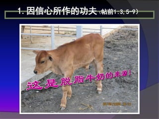 1.因信心所作的功夫（帖前1:3,5-9）
 