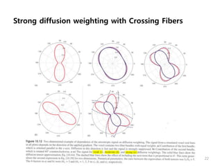 Strong diffusion weighting with Crossing Fibers
22
 