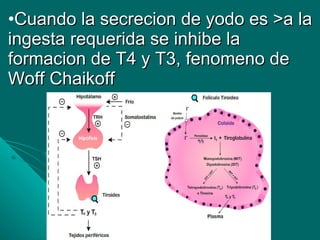 Cuando la secrecion de yodo es >a la ingesta requerida se inhibe la formacion de T4 y T3, fenomeno de Woff Chaikoff 
