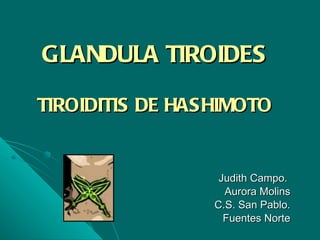 GLANDULA TIROIDES TIROIDITIS DE HASHIMOTO Judith Campo.  Aurora Molins C.S. San Pablo. Fuentes Norte 