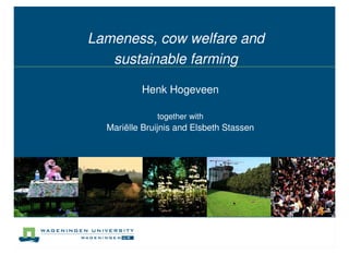 Lameness, cow welfare and
   sustainable farming

          Henk Hogeveen

              together with
  Mariëlle Bruijnis and Elsbeth Stassen
 
