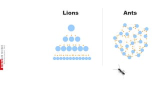        




           
 