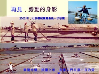 集攏池鹽、挑鹽上堆，是鹽工們日復一日的勞動 再見 ，勞動的身影 2002 年，七股機械鹽灘最後一次收鹽 