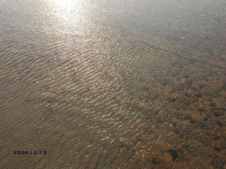 七年之後，第一次收鹽 2008.12.13 