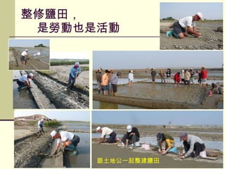 整修鹽田，   是勞動也是活動 跟土地公一起整建鹽田 