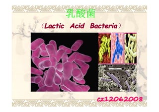 乳酸菌
（Lactic Acid Bacteria
 Lactic      Bacteria）




               cz12062008
 