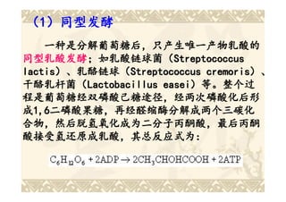 （1）同型发酵
    一种是分解葡萄糖后，只产生唯一产物乳酸的
同型乳酸发酵；如乳酸链球菌（Streptococcus
同型乳酸发酵；如乳酸链球菌（
         ；如乳酸链球菌（Streptococcus
lactis）、乳酪链球（Streptococcus cremoris）、
lactis）、乳酪链球（
      ）、乳酪链球（Streptococcus cremoris）、
干酪乳杆菌（Lactobacillus easei）等。整个过
干酪乳杆菌（Lactobacillus easei）等。整个过
程是葡萄糖经双磷酸己糖途径，经两次磷酸化后形
成1,6二磷酸果糖，再经醛缩酶分解成两个三碳化
  1,6二磷酸果糖，再经醛缩酶分解成两个三碳化
合物，然后脱氢氧化成为二分子丙酮酸，最后丙酮
酸接受氢还原成乳酸，其总反应式为：
 