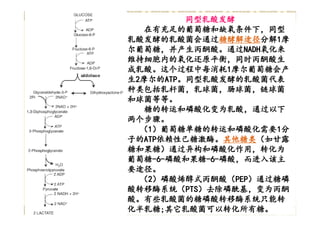 Homolactic Fermentation
                  同型乳酸发酵
   Under conditions of excess glucose and limited
     在有充足的葡萄糖和缺氧条件下，同型
oxygen, homolactic LAB catabolize one mole of
乳酸发酵的乳酸菌会通过糖酵解途径分解1摩
乳酸发酵的乳酸菌会通过糖酵解途径 分解1        糖酵解途径分解
glucose in the Embden-Meyerhof pathway to yield
two moles of pyruvate. Intracellular redox氧化来
尔葡萄糖，并产生丙酮酸。通过NADH balance
尔葡萄糖，并产生丙酮酸。通过NADH                   NADH氧化来
维持细胞内的氧化还原平衡，同时丙酮酸生
is maintained through the oxidation of NADH,
concomitant with pyruvate reduction to lactic acid.
成乳酸。这个过程中每消耗1摩尔葡萄糖会产
成乳酸。这个过程中每消耗1
This process yields two moles of ATP per glucose
生2摩尔的ATP。同型乳酸发酵的乳酸菌代表
    摩尔的ATP  ATP。同型乳酸发酵的乳酸菌代表
consumed. Representative homolactic LAB genera
种类包括乳杆菌，乳球菌，肠球菌，链球菌
include Lactobacillus, Lactococcus, Enterococcus,
和球菌等等。
Streptococcus and Pediococcus species.
     糖的转运和磷酸化变为乳酸，通过以下
     糖的转运和磷酸化变为乳酸，
             变为乳酸，通过以下
    The transport and phosphorylation of sugars
两个步骤。
两个步骤。
occur by (1) transport of free glucose and
phosphorylation by an ATP-dependent hexose1分
    （1）葡萄糖单糖的转运和磷酸化需要
        ）葡萄糖单糖的转运和磷酸化需要1
kinase (other sugars, such 。其他糖类and
子的ATP依赖性己糖激酶 as 其他糖类（如甘露
子的ATP依赖性己糖激酶。 mannose （如甘露
      ATP依赖性己糖激酶
糖和果糖）通过异构和磷酸化作用，转化为
fructose, enter the major pathways at the level of
glucose-6-phosphate or fructose-6-phosphate after
葡萄糖-6-磷酸和果糖-6-磷酸，而进入该主
葡萄糖-6-磷酸和果糖-6- 磷酸，而
        -6-磷酸和果糖 -6-磷酸，而进入该主
isomerization or phosphorylation or both); or (2)
要途径。
要途径。
the phosphoenolypyruvate (PEP) sugar
phosphotransferase system (PTS), in ）通过糖磷
    （2）磷酸烯醇式丙酮酸（PEP which PEP is
        ）磷酸烯醇式丙酮酸（ PEP）通过糖磷
the phosphoryl donor ）去除uptake of sugar.
酸转移酶系统（PTS for去除磷酰基，变为丙酮
酸转移酶系统（PTS the 磷酰基 PTS）        磷酰基，变为丙酮
Some species of LAB use the PTS for transport of
酸。有些乳酸菌的糖磷酸转移酶系统只 能转
   。有些乳酸菌的糖磷酸转移酶系统只能转
galactose only; others use the PTS for all sugars.
化半乳糖;其它乳酸菌可以转化所有糖。
 半乳糖;其它乳酸菌可以转化
            转化所有糖。
 