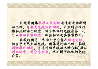 乳酸菌菌体抗原及代谢物通过刺激肠黏膜
  乳酸菌菌体抗原及代谢物
        抗原及代谢物通过刺激肠黏膜
淋巴结，可激发免疫活性细胞，产生特异性抗
淋巴结，可激发免疫活性细胞
      激发免疫活性细胞，产生特异性抗
体和致敏淋巴细胞，调节机体的免疫应答，还
可以激活巨噬细胞，加强和促进其吞噬作用。
可以激活巨噬细胞
  激活巨噬细胞，加强和促进其吞噬作用。
  乳酸杆菌另一方面由于它能在肠道定植，
  乳酸杆菌另一方面由于它能在肠道定植
                肠道定植，
相当于天然主动免疫。菌体通过淋巴结、粘膜
相当于天然主动免疫。菌体通过淋巴结、粘膜
刺激淋巴细胞，并通过肠系膜淋巴结(MIN)循环
刺激淋巴细胞， 通过肠系膜淋巴结(MIN)
                 (MIN)循环
到血流中，并分布全身，从而调节机体的免疫
到血流中， 并分布全身，从而调节机体的免疫
应笞。
 