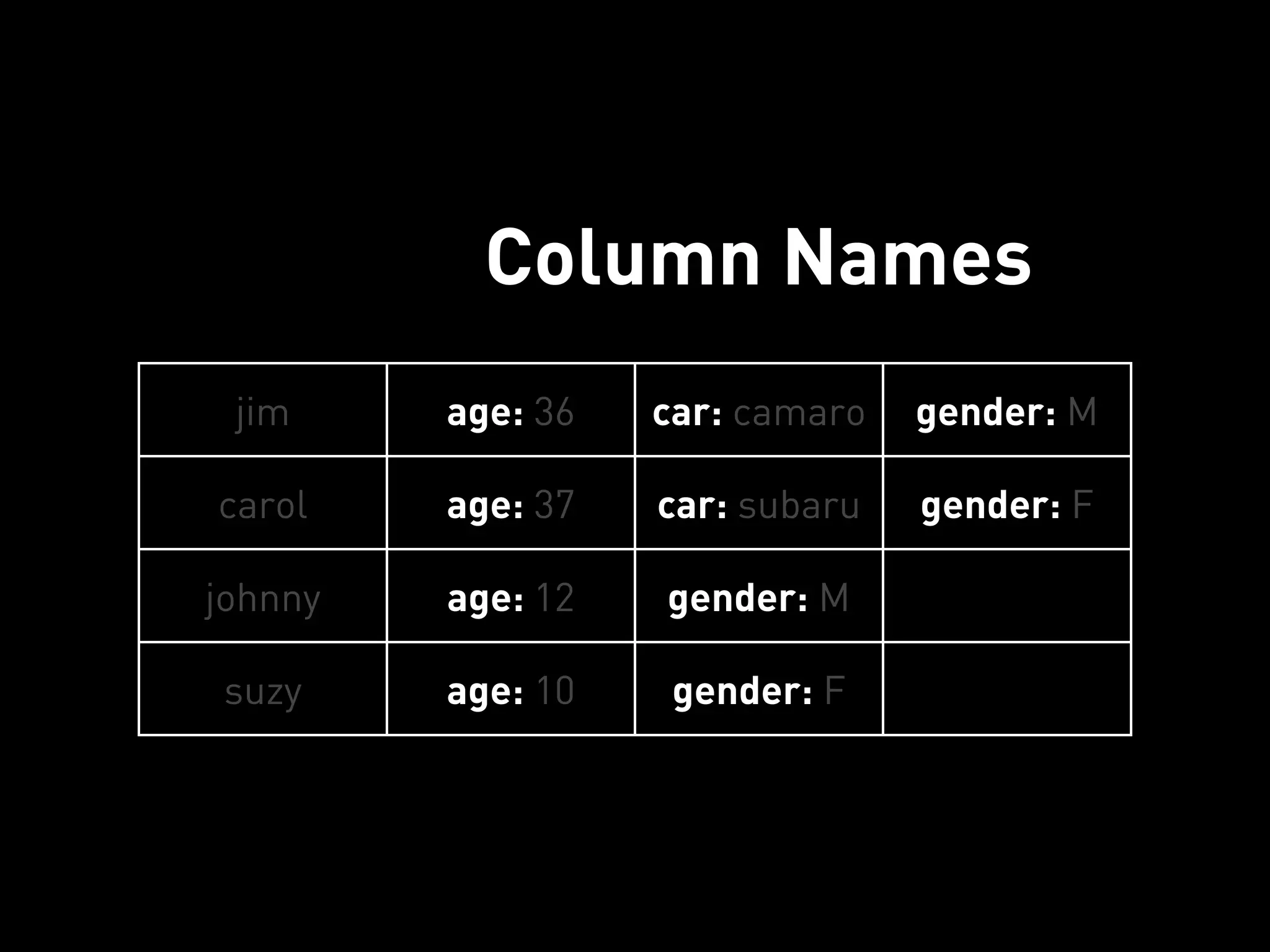 Column Names
 jim     age: 36   car: camaro   gender: M

carol    age: 37   car: subaru   gender: F

johnny   age: 12   gender: M

suzy     age: 10    gender: F
 