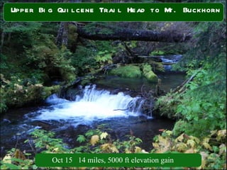 Upper Big Quilcene Trail Head to Mt. Buckhorn Oct 15  14 miles, 5000 ft elevation gain 