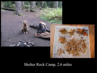 Shelter Rock Camp, 2.6 miles 