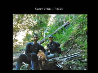 Gamm Creek, 1.7 miles 
