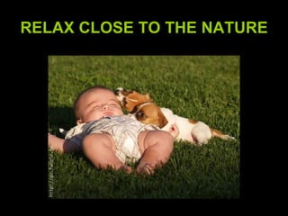 RELAX CLOSE TO THE NATURE 