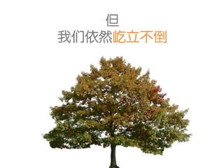 但
我们依然屹立不倒
 