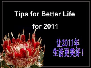Tips for Better Life  for 2011 让2011年 生活更美好！ 