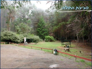 ‫סביבת החולה:‬




‫56‬   ‫(‪ )C‬כל הזכויות שמורות - אלעד גתי וצחי הולצברג, מד"א ירושלים‬
 