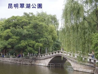 昆明翠湖公園 