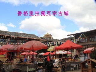 香格里拉獨克宗古城 