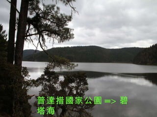 普達措國家公園 => 碧塔海 