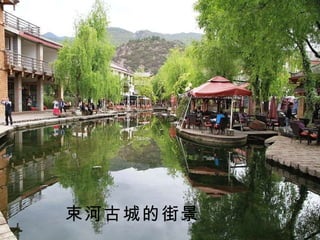 束河古城的街景 