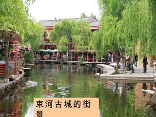 束河古城的街景 