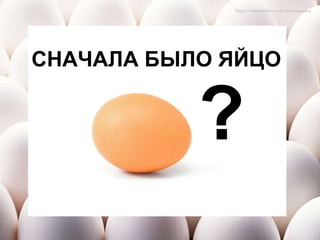 СНАЧАЛА БЫЛО ЯЙЦО   ? 
