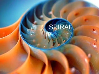 SPIRAL 