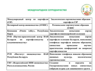МЕЖДУНАРОДНОЕ СОТРУДНИЧЕСТВО