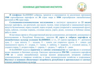 ОСНОВНЫЕ ДОСТИЖЕНИЯ ИНСТИТУТА