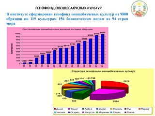 ГЕНОФОНД ОВОЩЕБАХЧЕВЫХ КУЛЬТУРВ институте сформирован генофонд овощебахчевых культур из 9800 образцов по 119 культурам 156 ботаническим видам из 94 стран мира