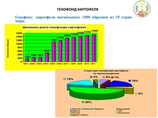 ГЕНОФОНД КАРТОФЕЛЯГенофонд  картофеля насчитывает 1500 образцов из 35 стран мира.