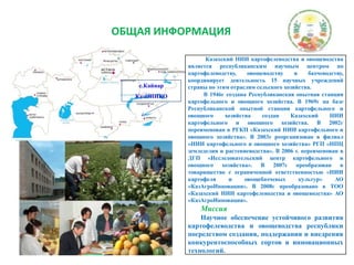 ОБЩАЯ ИНФОРМАЦИЯс.КайнарКазНИИКО