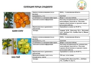 СЕЛЕКЦИЯ ПЕРЦА СЛАДКОГОБАЯН СУЛУКАЗ-ТАЙ