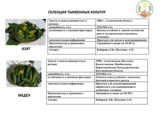 СЕЛЕКЦИЯ ТЫКВЕННЫХ КУЛЬТУРАЗАТМЕДЕУ