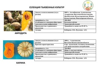 СЕЛЕКЦИЯ ТЫКВЕННЫХ КУЛЬТУРАФРОДИТАКАРИНА