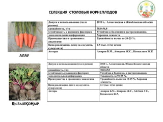 СЕЛЕКЦИЯ  СТОЛОВЫХ КОРНЕПЛОДОВАЛАУҚЫЗЫЛҚОҢЫР
