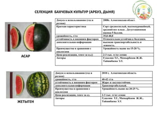 СЕЛЕКЦИЯ  БАХЧЕВЫХ КУЛЬТУР (АРБУЗ, ДЫНЯ)АСАРЖЕТЫГЕН