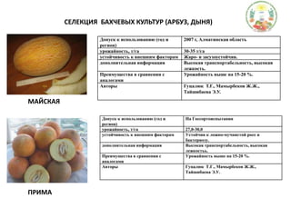 СЕЛЕКЦИЯ  БАХЧЕВЫХ КУЛЬТУР (АРБУЗ, ДЫНЯ)МАЙСКАЯПРИМА