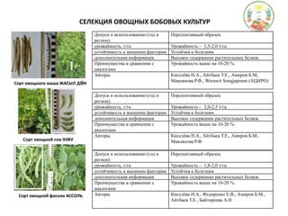 СЕЛЕКЦИЯ ОВОЩНЫХ БОБОВЫХ КУЛЬТУРСорт овощного маша ЖАСЫЛ ДӘНСорт овощной сои ІНЖУСорт овощной фасоли АССОЛЬ