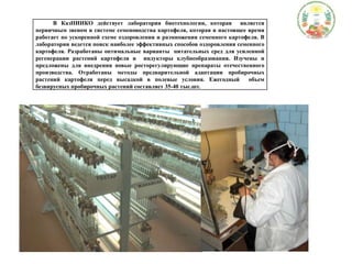 презентация казниико на веб сайте каи 2011