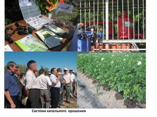 Система капельного  орошения