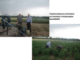 Спринклерные установкина полевых стационарах КазНИИКО