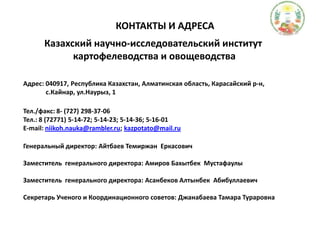 КОНТАКТЫ И АДРЕСАКазахский научно-исследовательский институт картофелеводства и овощеводстваАдрес: 040917, Республика Казахстан, Алматинская область, Карасайский р-н,               с.Кайнар, ул.Наурыз, 1Тел./факс: 8- (727) 298-37-06Тел.: 8 (72771) 5-14-72; 5-14-23; 5-14-36; 5-16-01E-mail: niikoh.nauka@rambler.ru; kazpotato@mail.ruГенеральный директор: Айтбаев ТемиржанЕркасовичЗаместитель  генерального директора: АмировБахытбекМустафаулыЗаместитель  генерального директора: АсанбековАлтынбекАбибуллаевичСекретарь Ученого и Координационного советов: Джанабаева Тамара Тураровна