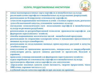 УСЛУГИ, ПРЕДОСТАВЛЯЕМЫЕ ИНСТИТУТОМ