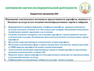 НАПРАВЛЕНИЕ НАУЧНО-ИССЛЕДОВАТЕЛЬСКОЙ ДЕЯТЕЛЬНОСТИБюджетная программа 042