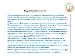 Бюджетная программа 042