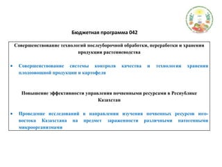 Бюджетная программа 042